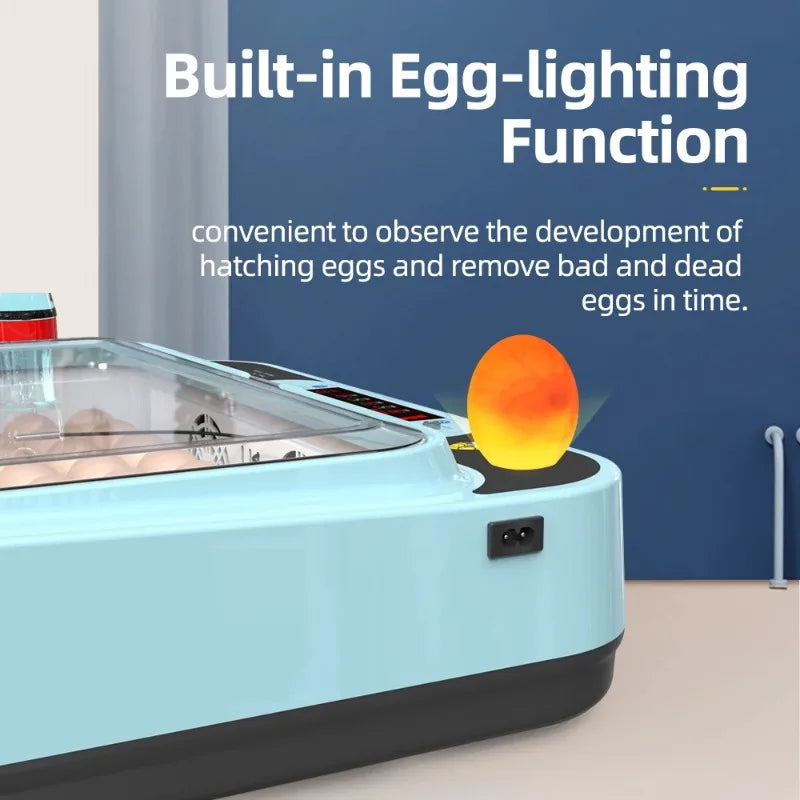 64/6 Chicken Duck Quail Egg Incubator