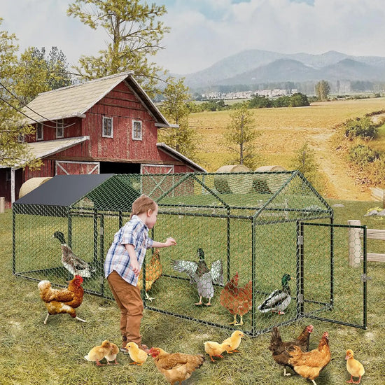 Heavy-Duty Metal Chicken Coop