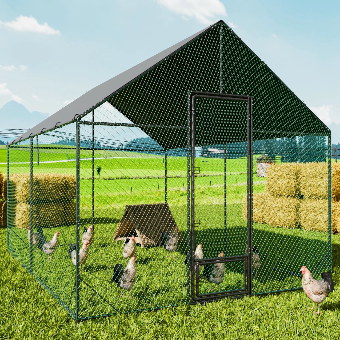 Heavy Duty Upgrade Outdoor Chicken Coop