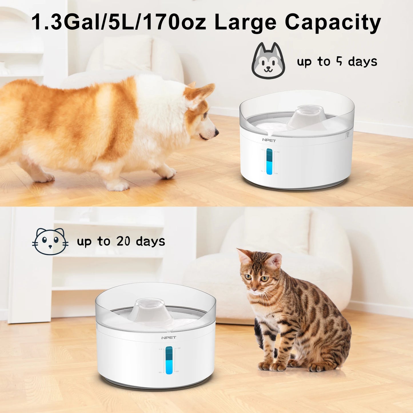 Automatic dog water fountain