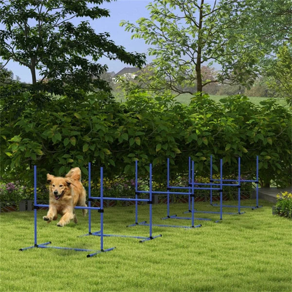 Dog Agility Dogs Fences Set
