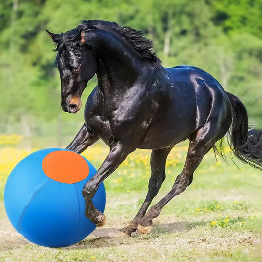 Four-legged Animal Game Ball Outdoor