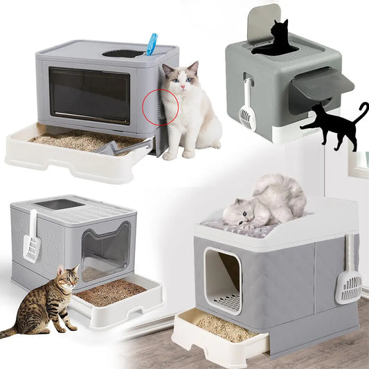 Modern Cat Litter Box