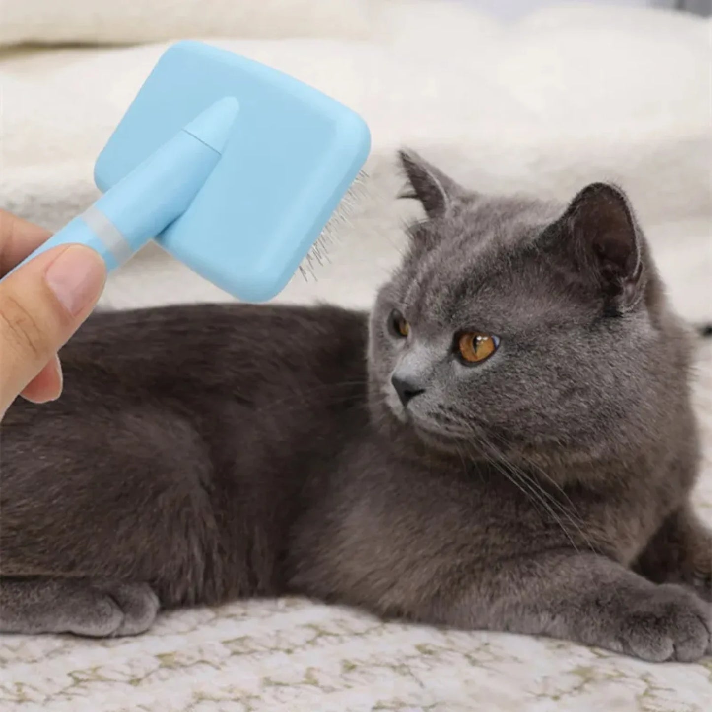 2PCS Dog Brush Pet Hair Remover