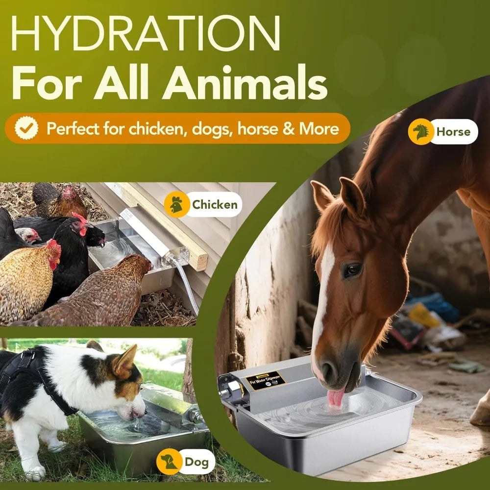 Automatic Water Dispenser for Dogs