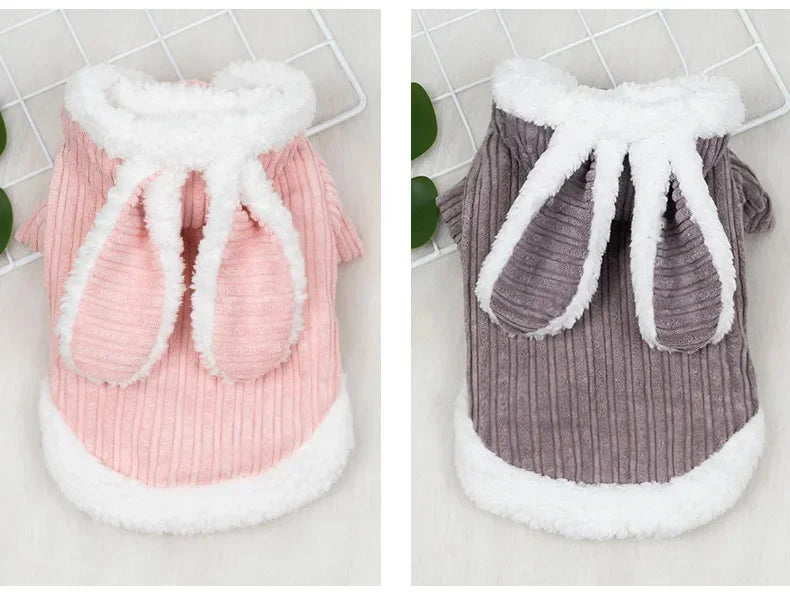 Warm Winter Clothes for Kittens