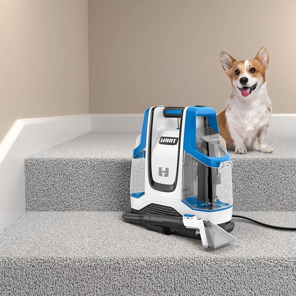 Enzymatic Carpet Spot Cleaner