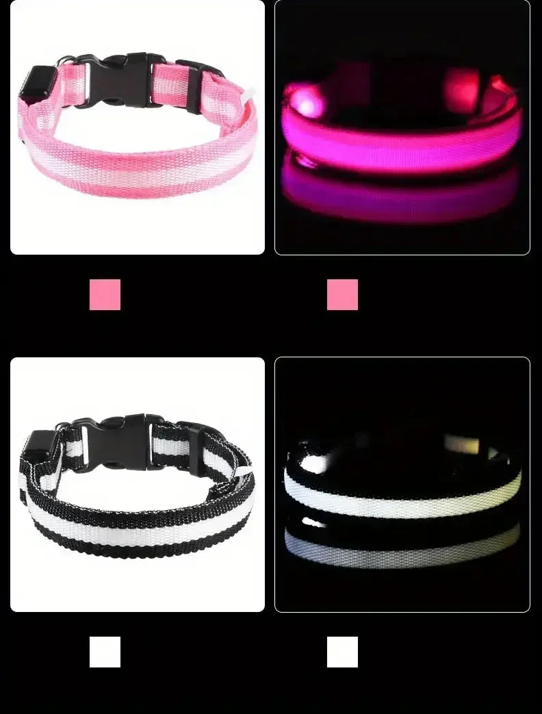 Light Up LED Pet Dog Collar