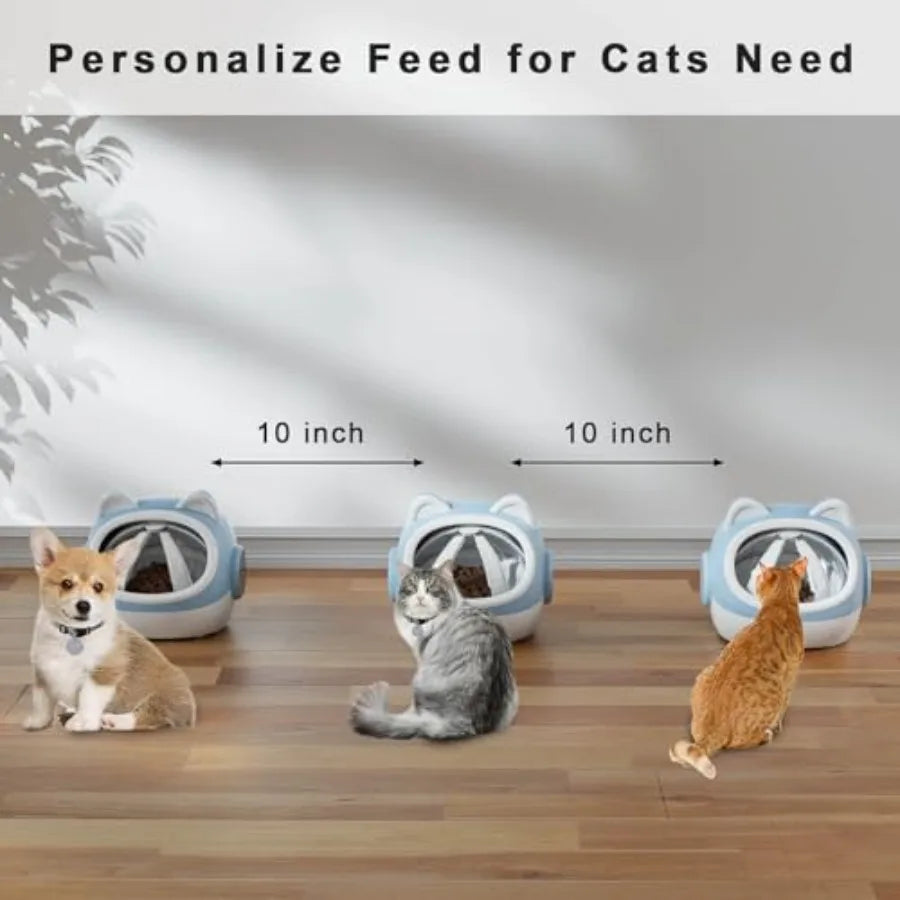 Smart Pet Feeder with Dual Collar Tags