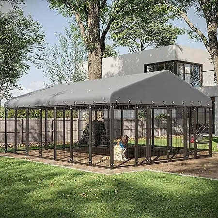 Dog Kennel Outside
