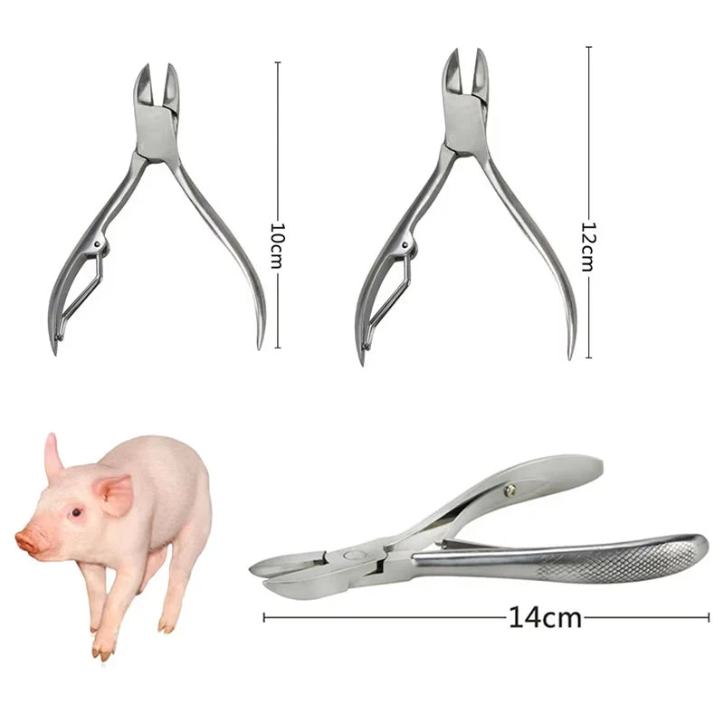 Stainless Steel Piglet Cutting Tooth Pliers