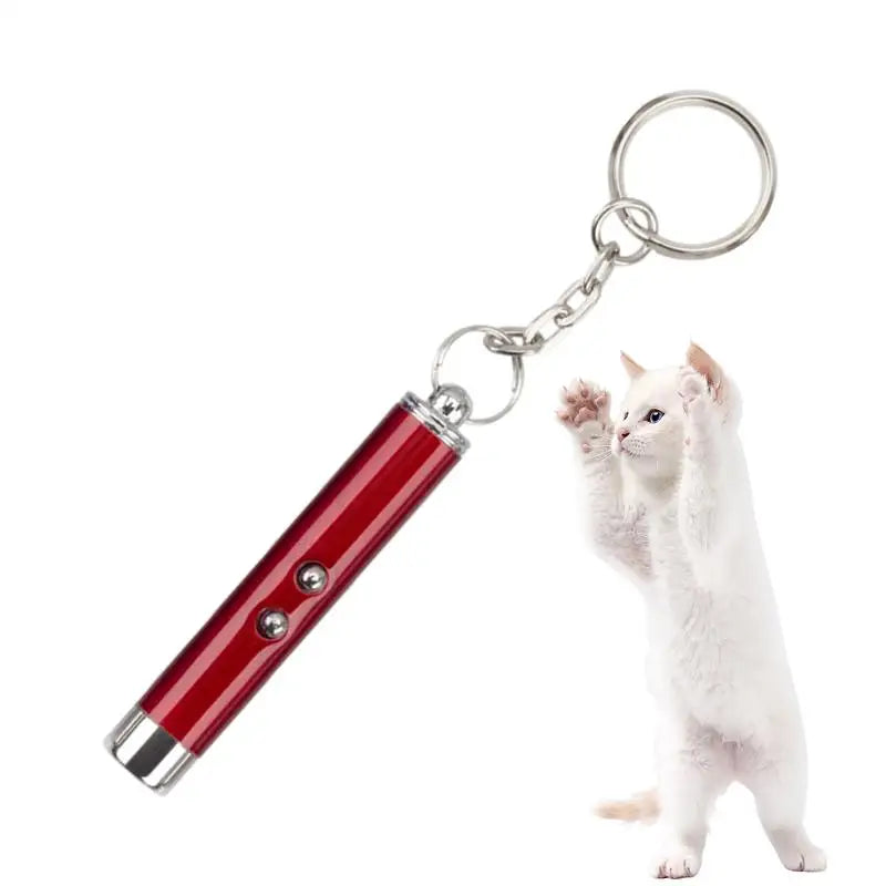 Keychain Red Laser Pointer Pen
