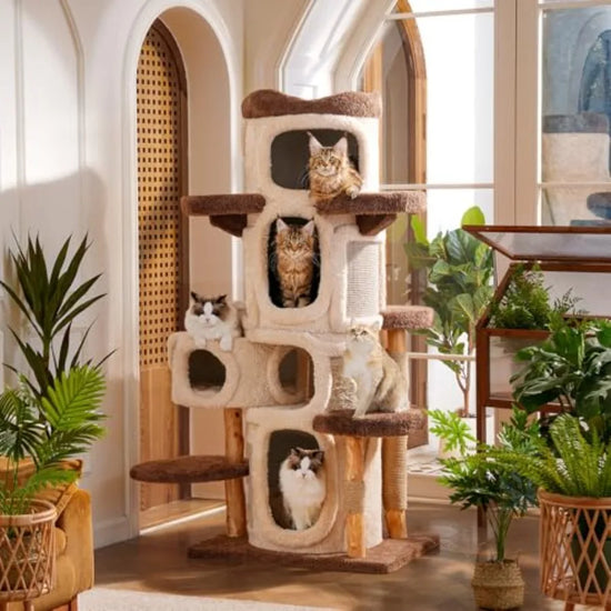 Heavy Duty Cat Tree for Large Cats