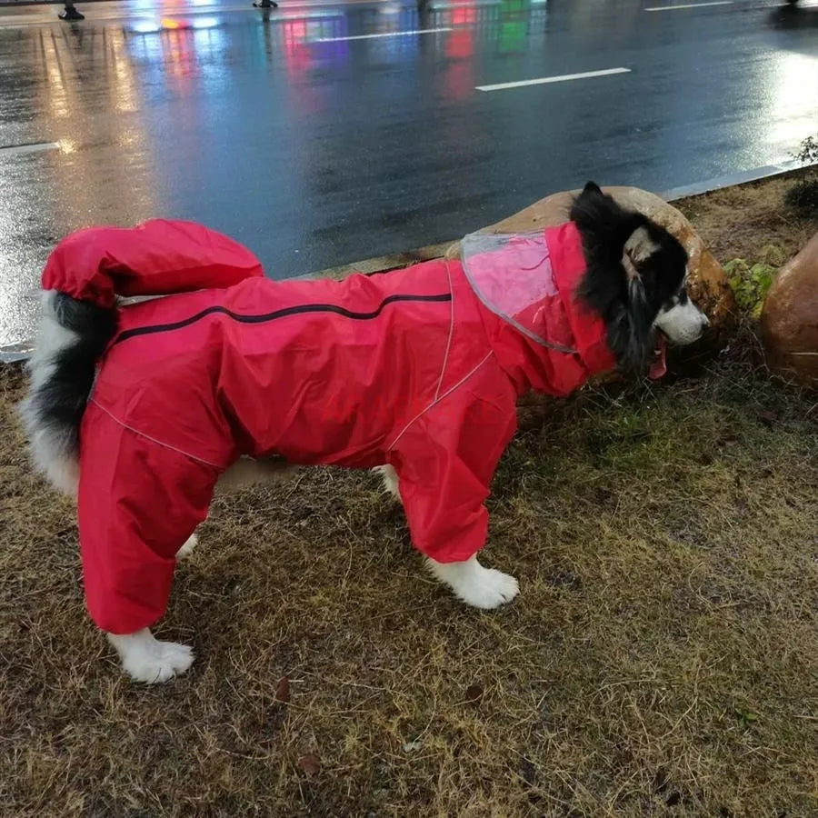 All inclusive raincoat
