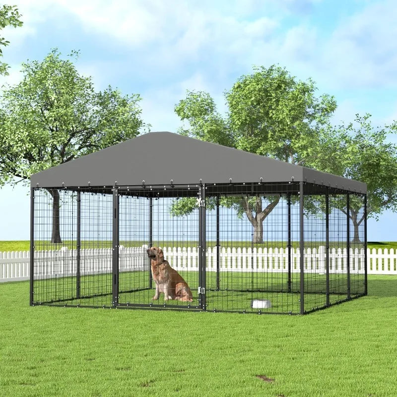 Large Outdoor Dog Kennel