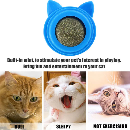 Rotatable Catnip Balls Toy for Cats