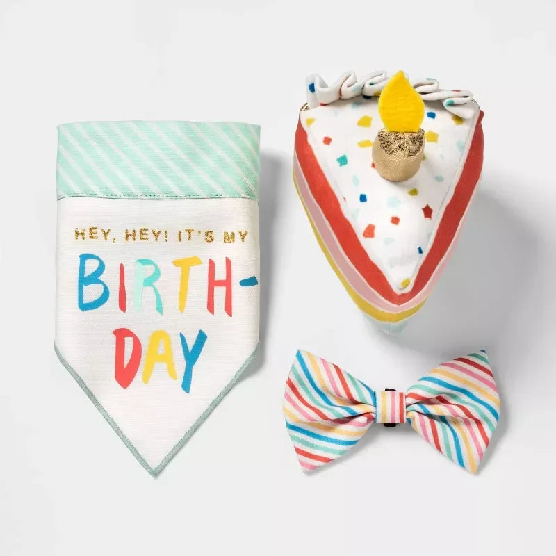 Birthday Cake Plush Dog Toy with Squeaker