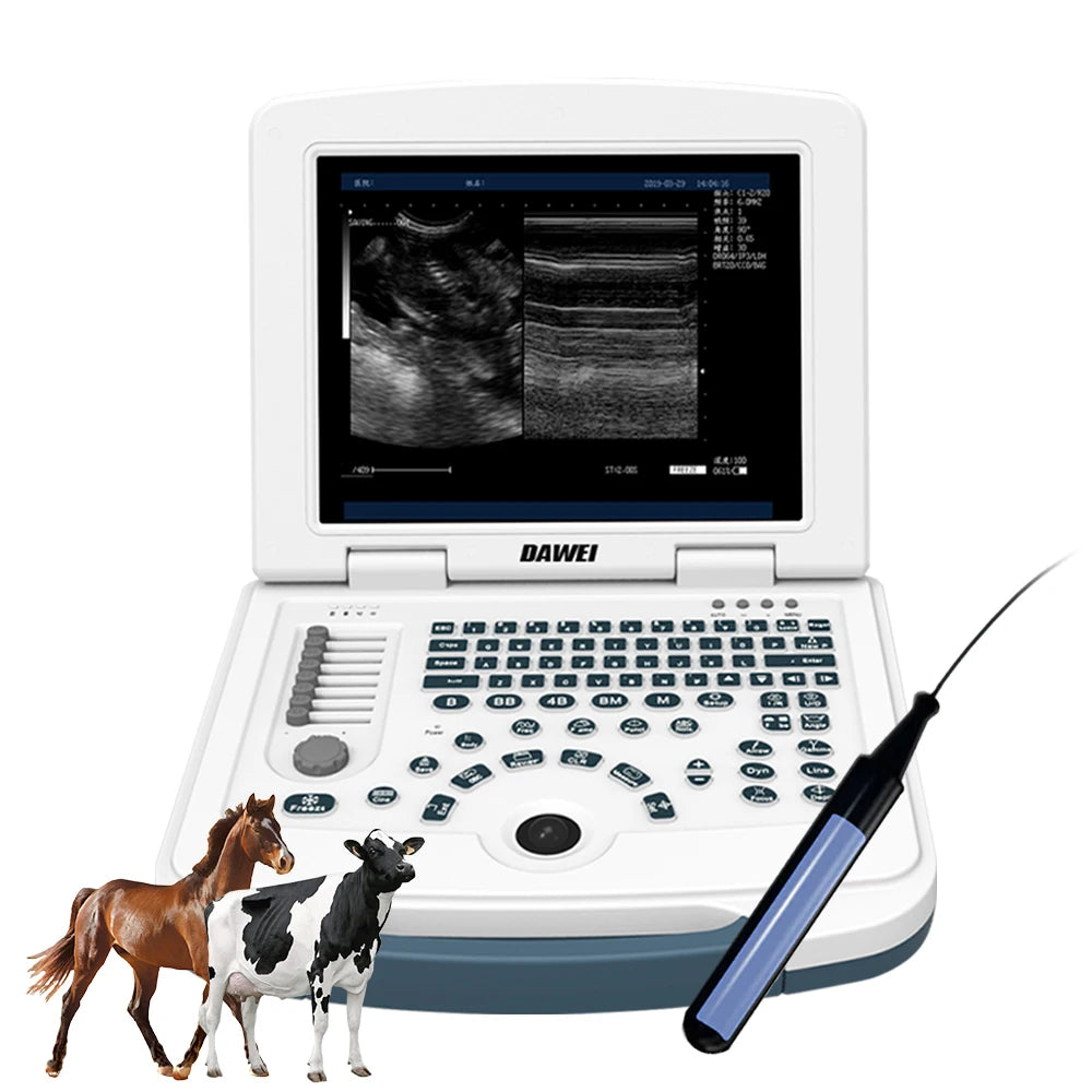 Portable Veterinary Ultrasound Scanner