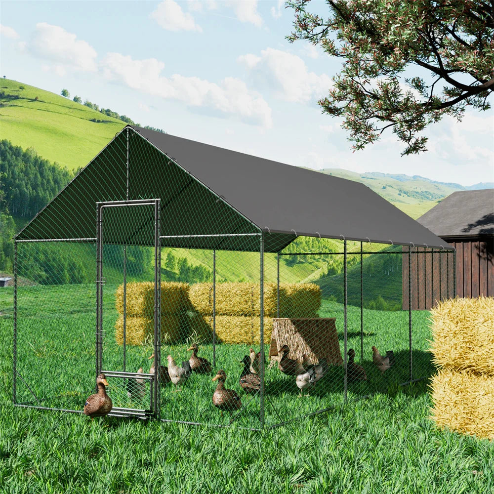 Heavy Duty Upgrade Outdoor Chicken Coop