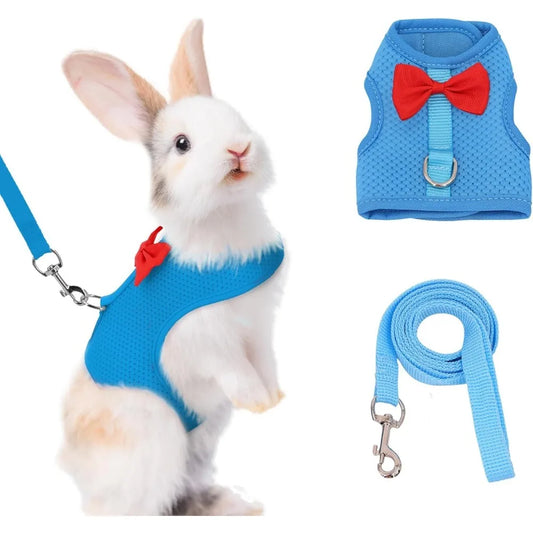 Bunny Harness and Leash Set with Cute Bow