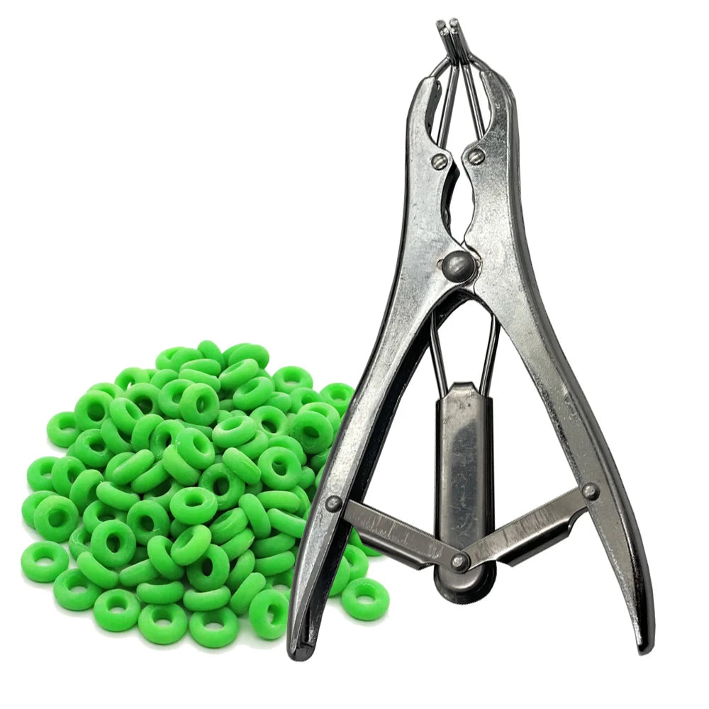 Stainless Steel Sheep Broken Tail Castration Forceps