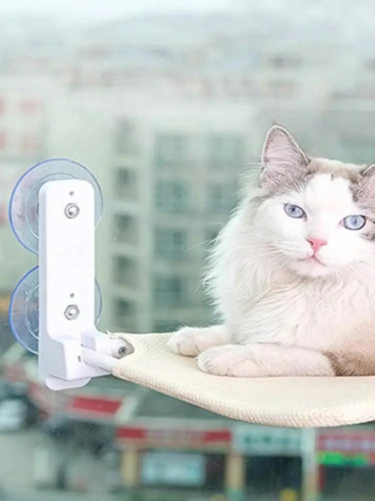 Cat Hammock Suction Cup PVC