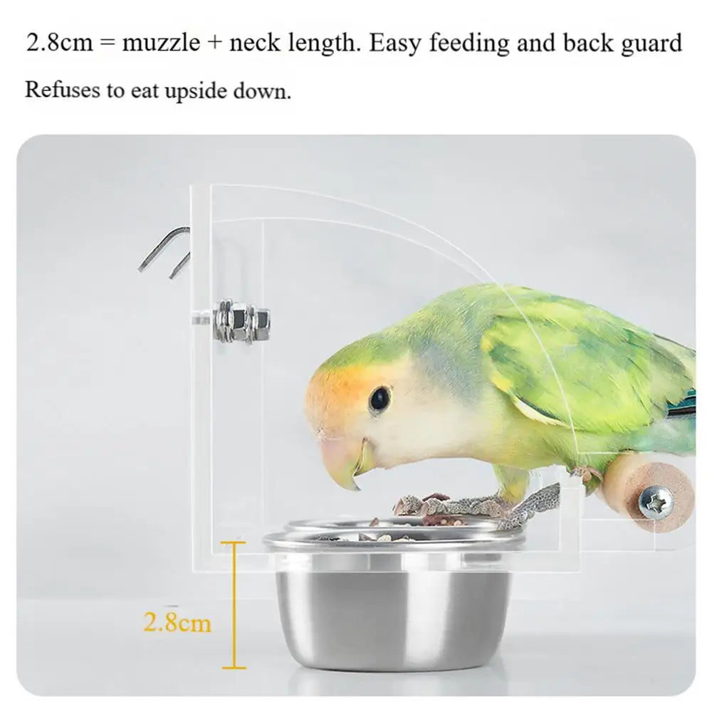 Bird Food Container