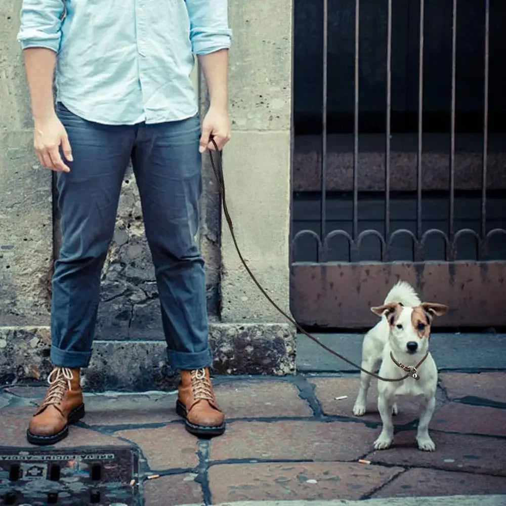 Genuine Leather Slip Dog Leash