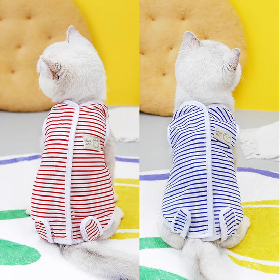 Striped Cat Sterilization Suit