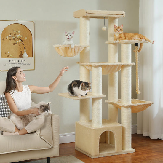 Multi-Level Cat Tree with Scratching Posts