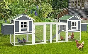Large Chicken Coop