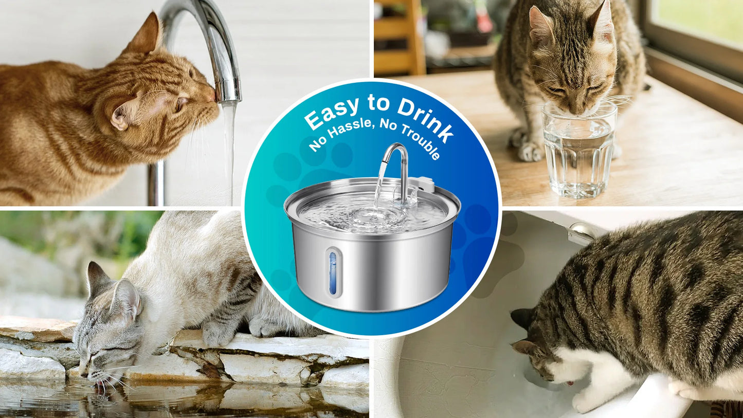 Cat Water Fountain Stainless Steel