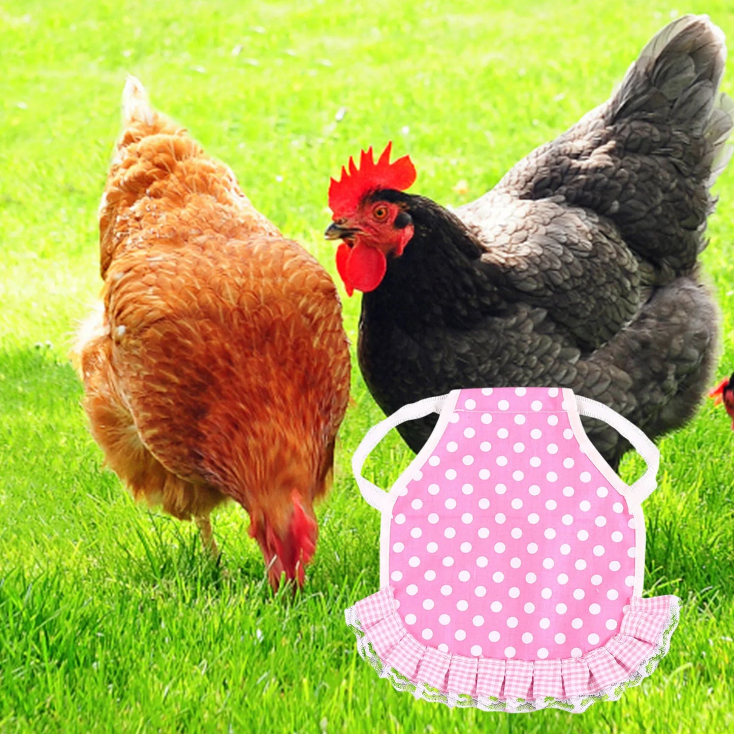 1pcs Farm Hen Feather Retainer Chicken Saddle Strap Apron