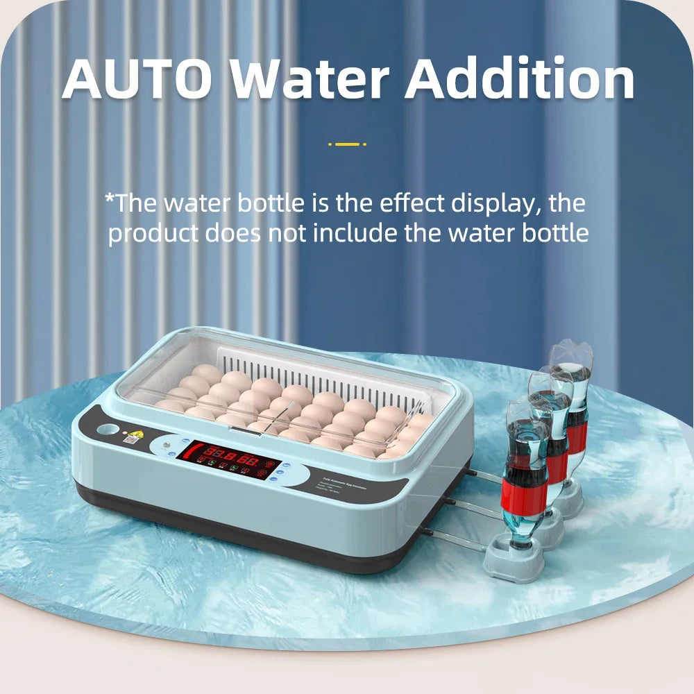 64/6 Chicken Duck Quail Egg Incubator