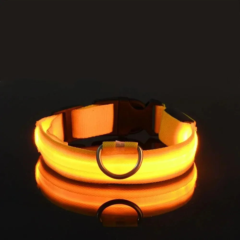 Light Up LED Pet Dog Collar
