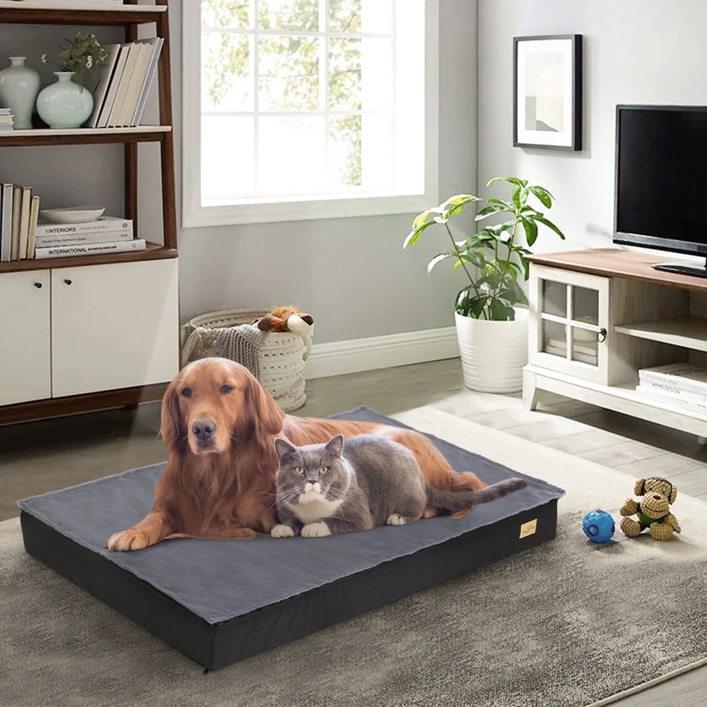 Dog Beds for Large Dogs
