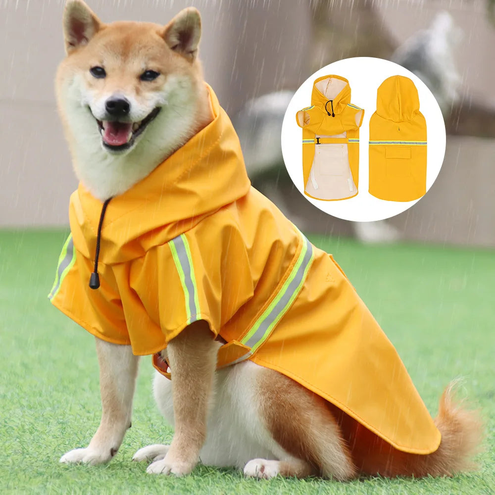 Big Dog raincoat