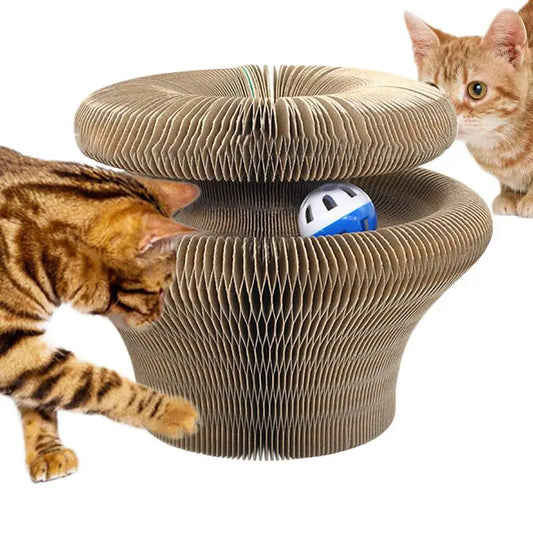 Kitty Curls Cat Toy Unique Active Cat Toy