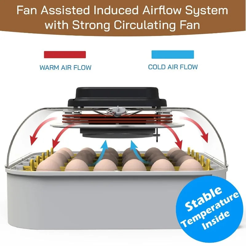 30 Egg Incubator with Humidity Display