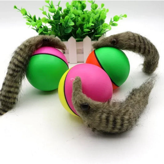 Rolling Play Random Alive New Pet Ferret Toy