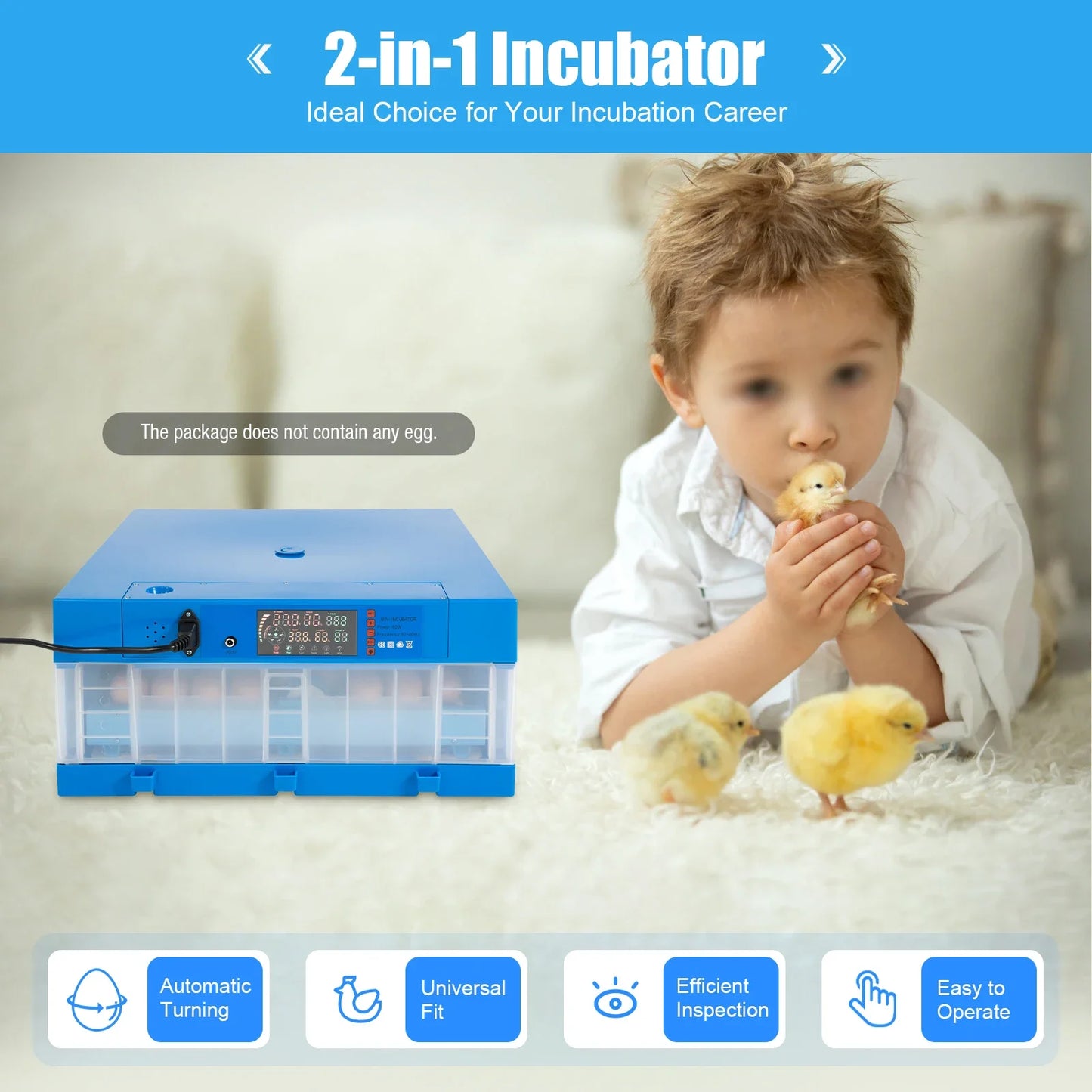 Incubator, 64 Egg Incubator
