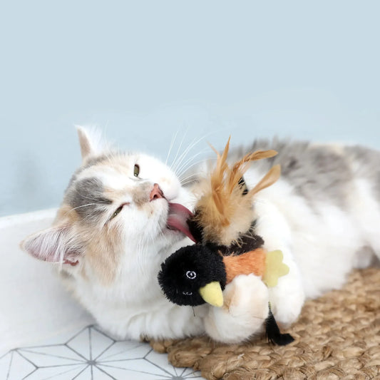 Vibrant Life Rockin' Robin Catnip Filled Plush Bird Cat Toy
