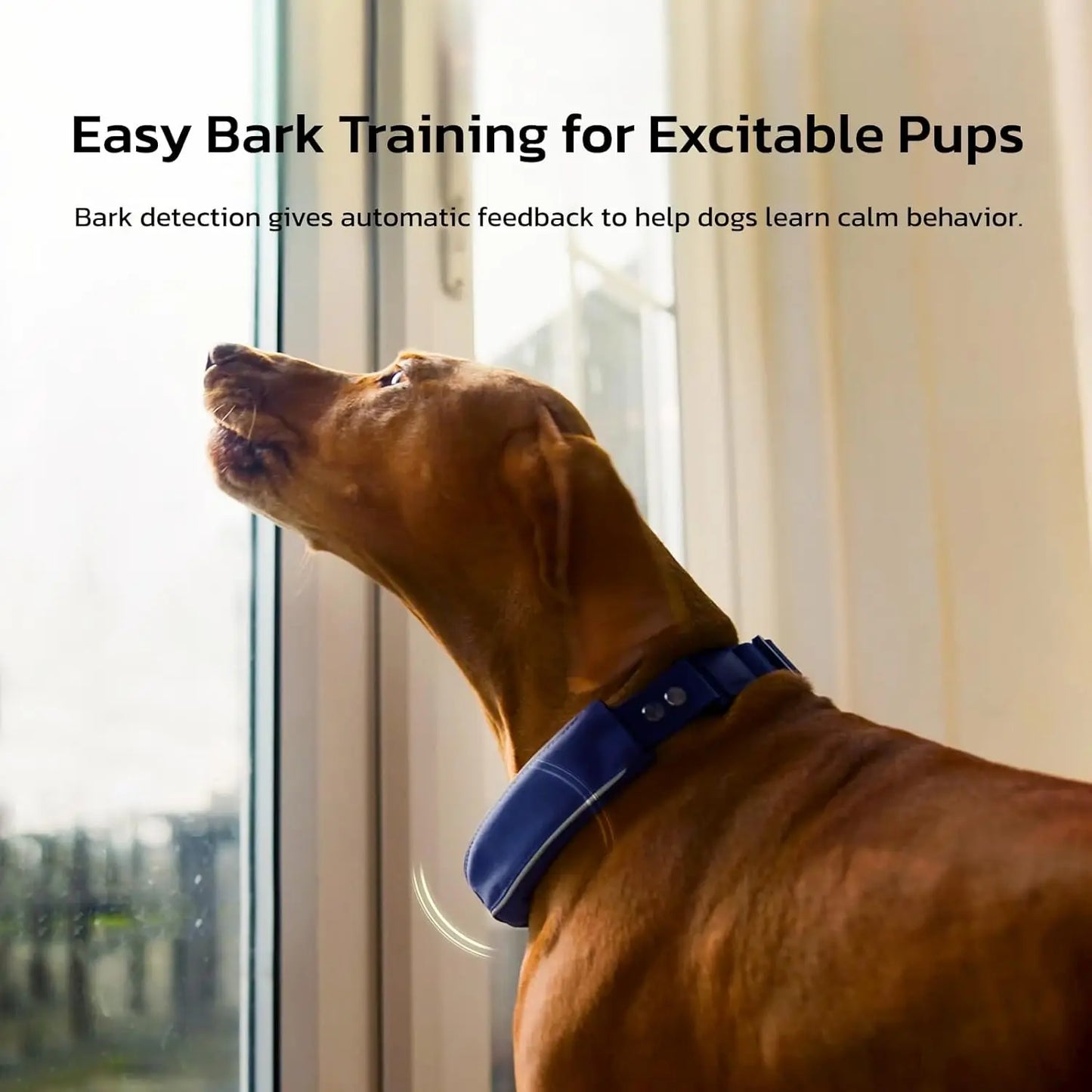 SATELLAI Dog Wireless Fences, Gray