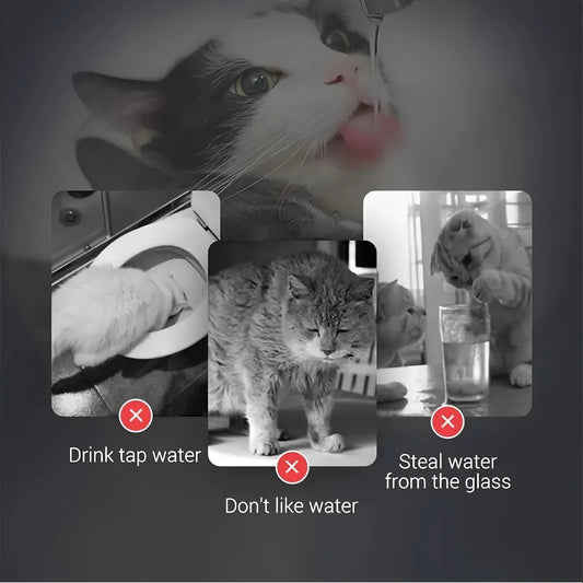 Smart Pet Water Dispenser