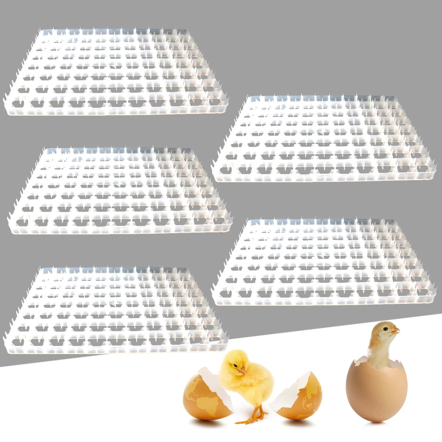 LOYALHEARTDY 5pcs 440 Quail Egg Turning Tray