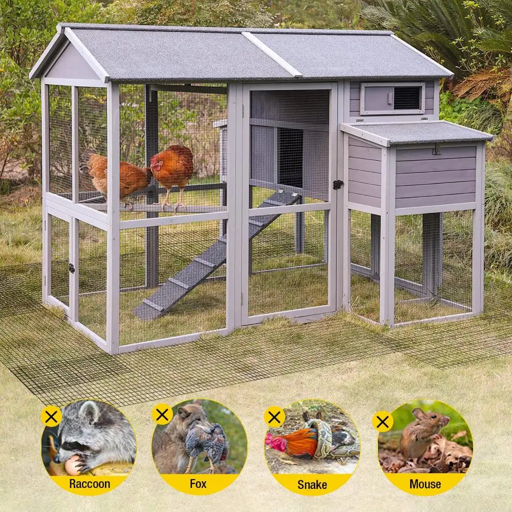 Chicken Coop