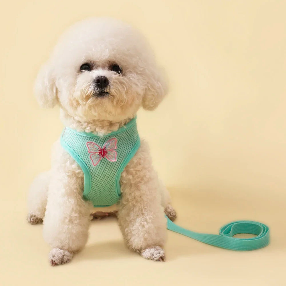 Butterfly Cute Breathable Dog Harness Set