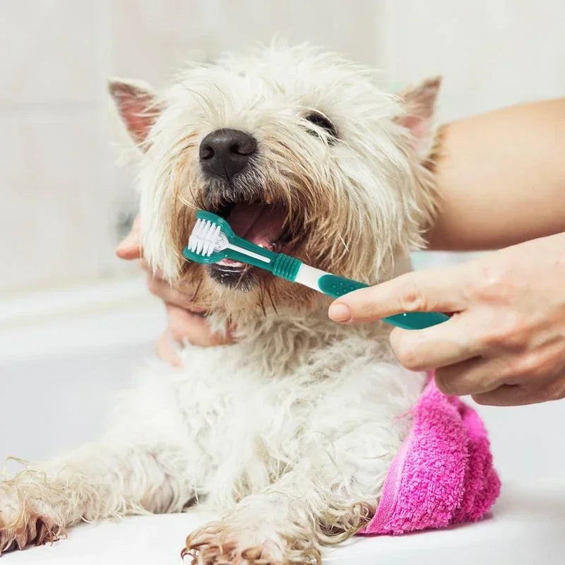 3-Sided Pet Toothbrush Dog Dental Care Cat Cleaning Mouth