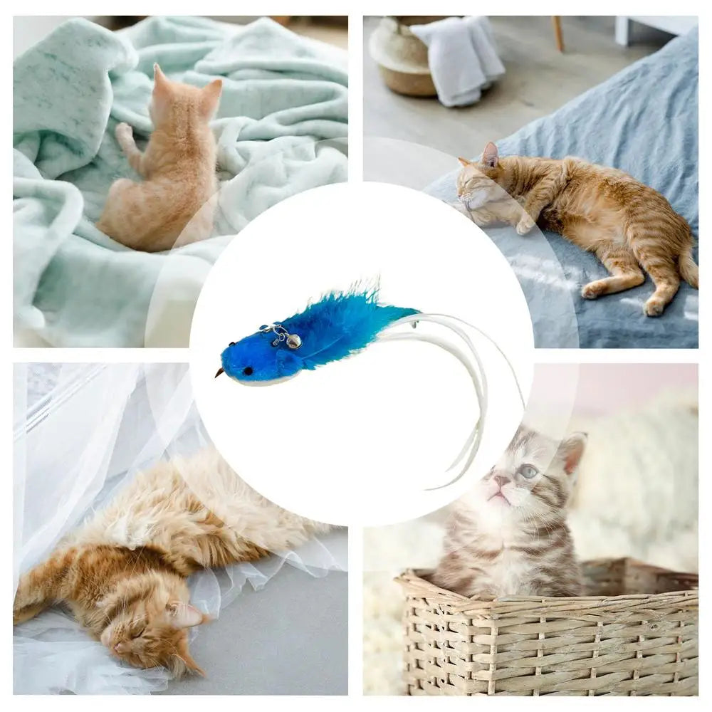 Cat Teaser Wand Attachments