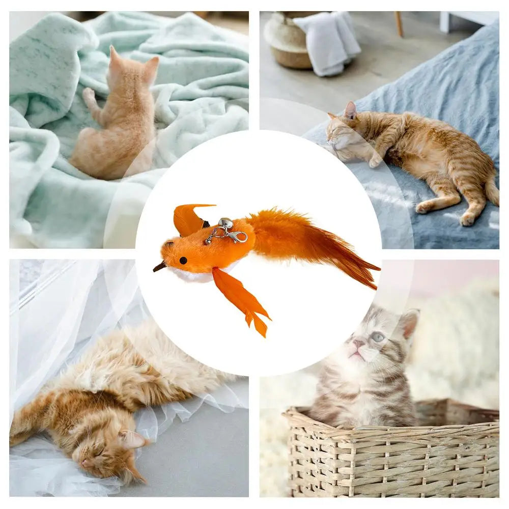 Cat Teaser Wand Attachments